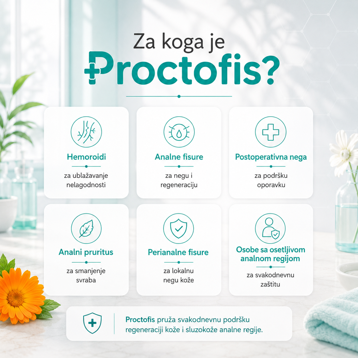 Proctofis 2