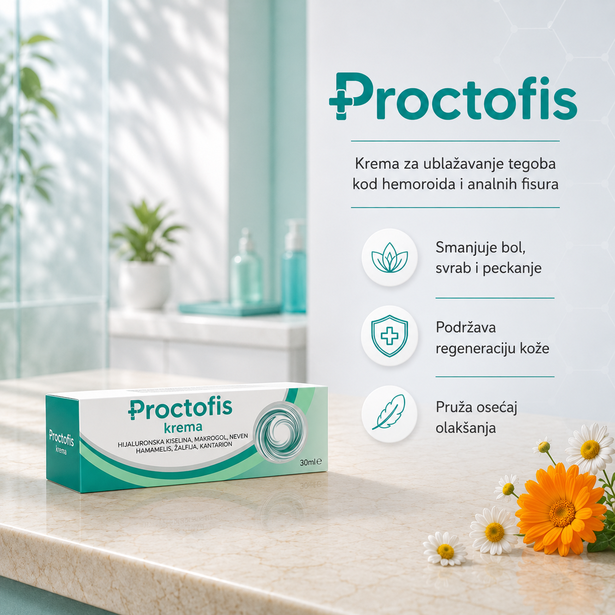Proctofis